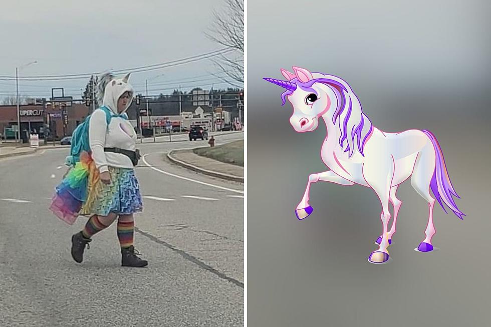 This Unicorn Sighting in Somersworth, New Hampshire Proves That Seeing is Believing