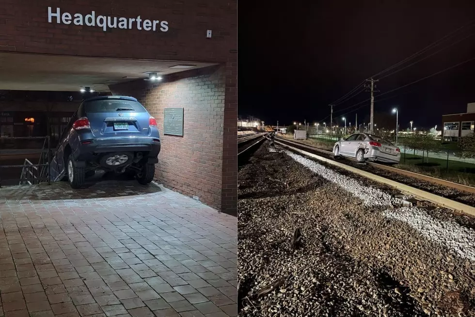 Portland, Maine Police Had a Busy Friday Night