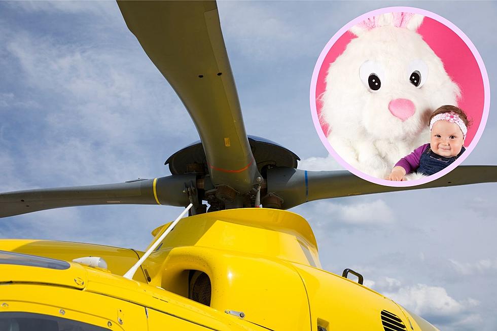 Easter Bunny to Drop 1,500 Eggs From a Helicopter in Londonderry, New Hampshire This Weekend