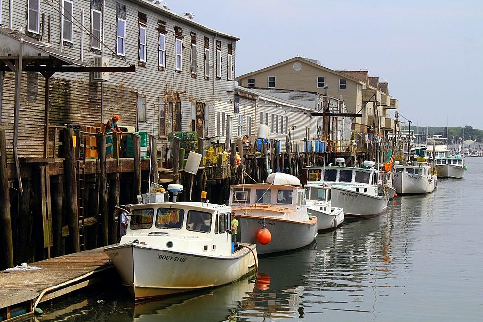 35 Things Mainers Say They Love About Portland, Maine