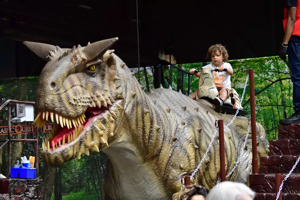 World’s Most Popular Dinosaur Event is Coming to Bangor, Maine