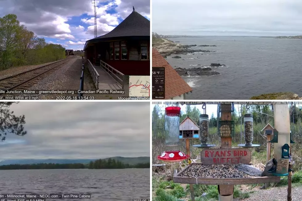 These 10 Live Webcams Let You See Picturesque Views Across Maine