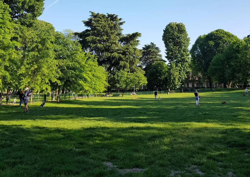 New 24 Acre Park Coming to North Deering in Portland