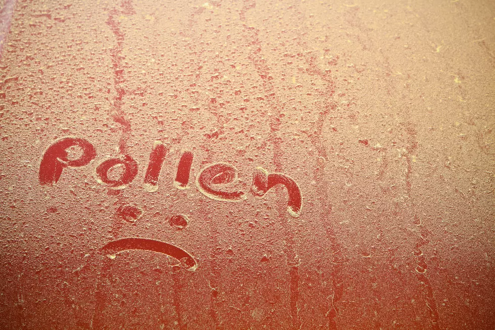 3 Things Mainers Should Know About Dealing With Pollen on Cars