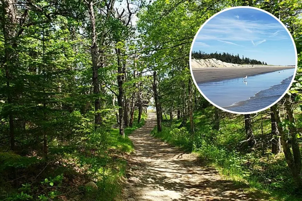 This Hike in Phippsburg, Maine Will Lead You to a Stunning Secret Beach