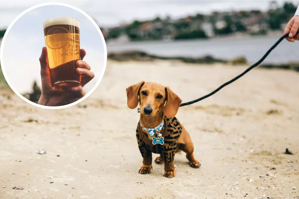 Maine’s Only Dog-Centric Beer Festival is This Weekend in SoPo