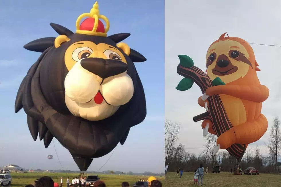 Lewiston Maine&#8217;s Great Falls Balloon Fest Returns With Jungle Theme