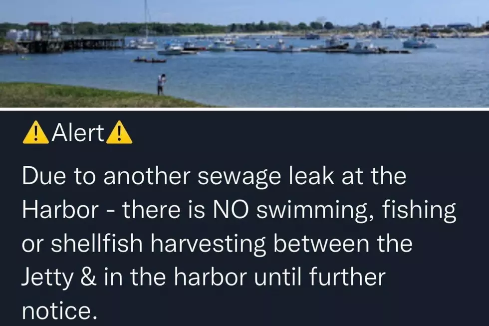 Mainers Infuriated With Constant Sewage Leaks Closing This Maine Harbor