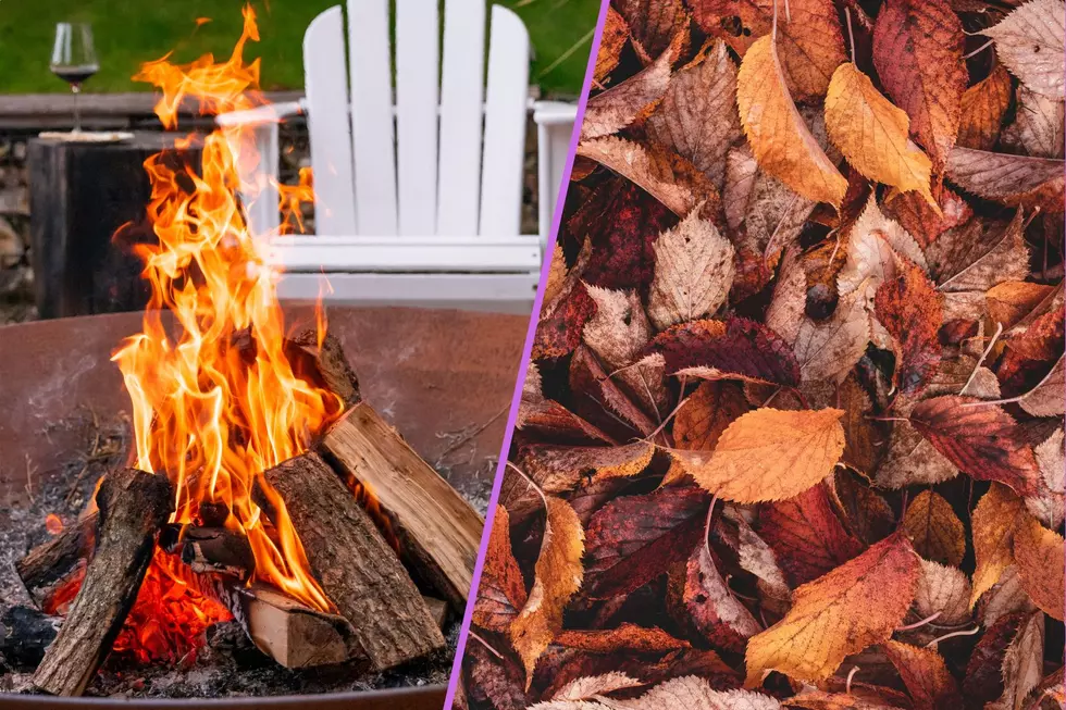 Is It Illegal to Burn Leaves in Maine?