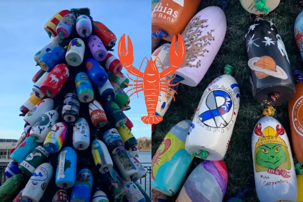 Support Maine’s Lobster Industry Through a Holiday Buoy Tree 