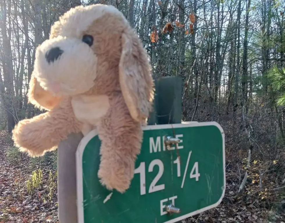 Can You Help This Lost Stuffy in Maine Find Its Home? 
