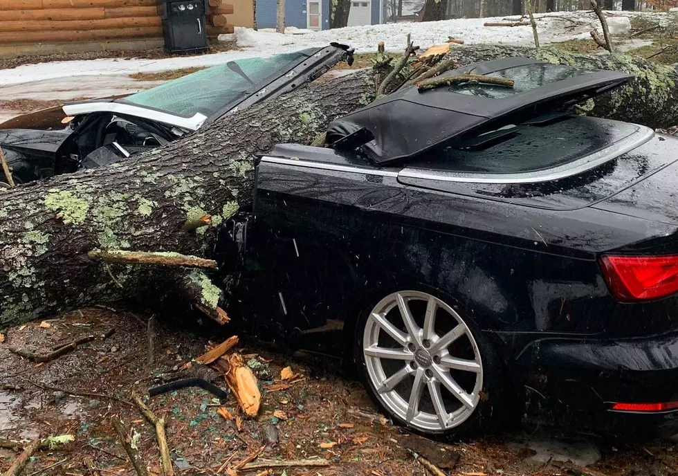 Maine&#8217;s Lee Nelson Lucky After Tree Destroys Just His Car in Storm