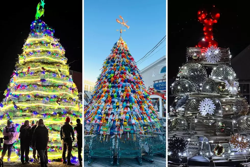 Lobster Traps, Buoys and More: 10 Unique Maine Christmas Trees Worth a Trip to See This Holiday