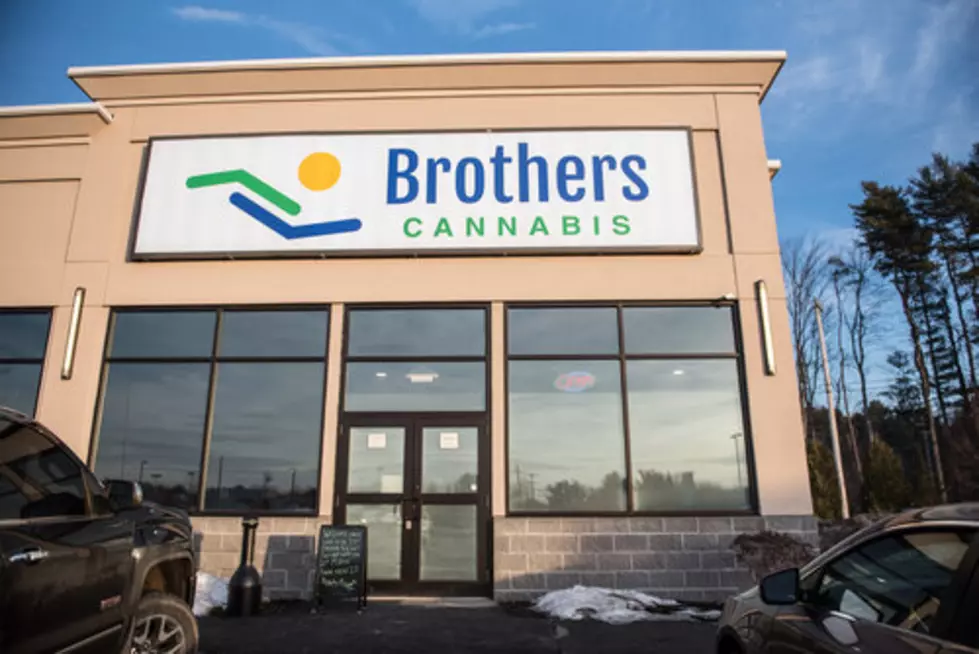 Maine’s Top 10 Biggest Marijuana Businesses