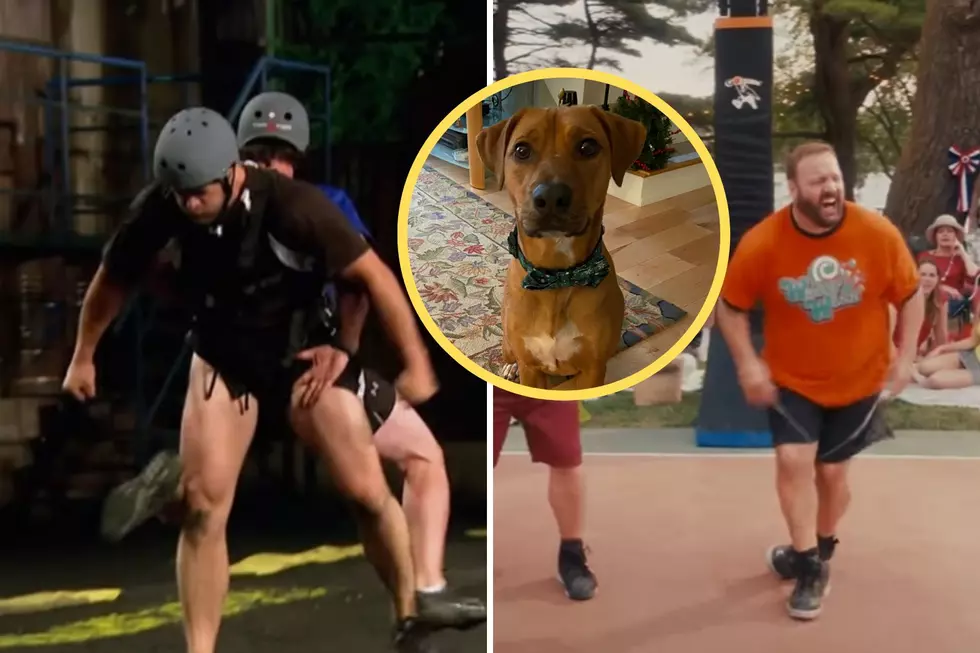 Dog Account on TikTok Blasts Maine Man for His Shoveling Technique
