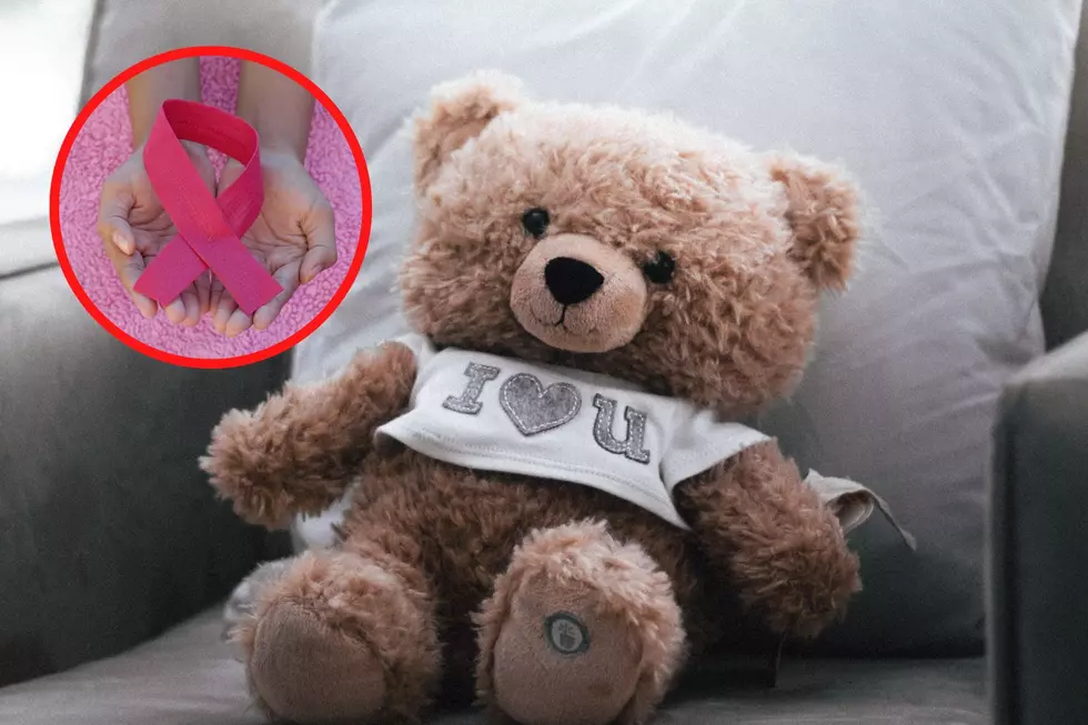 Beat Down Cancer With Stuffed Bears at This New Hampshire College