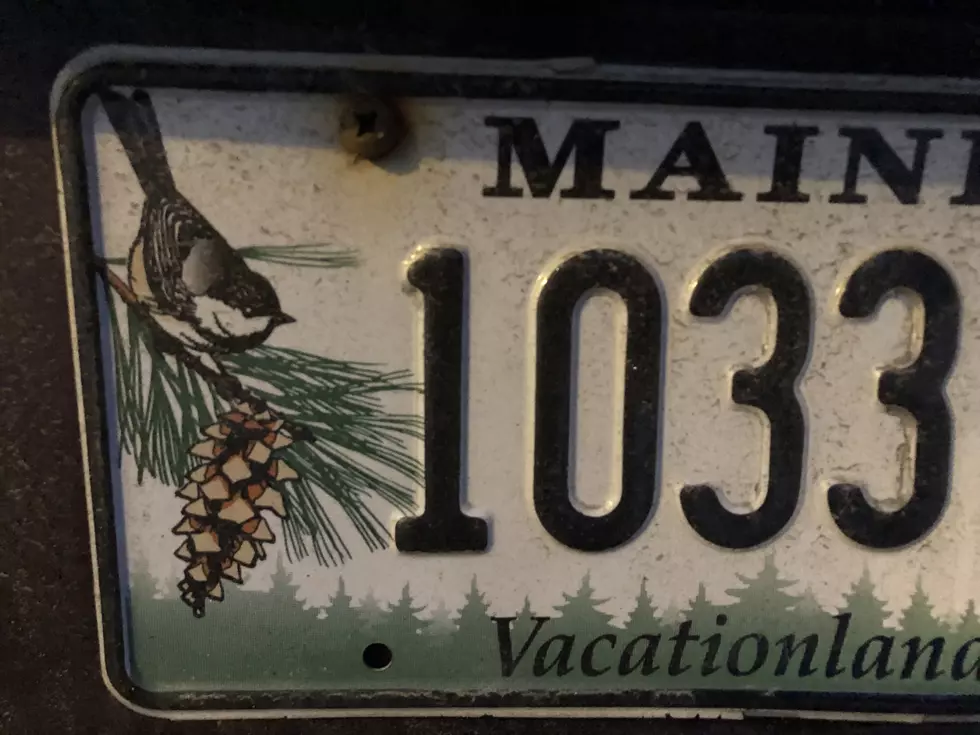 The Old Chickadee Plate Could Be Replaced by the 1901 Maine Flag 