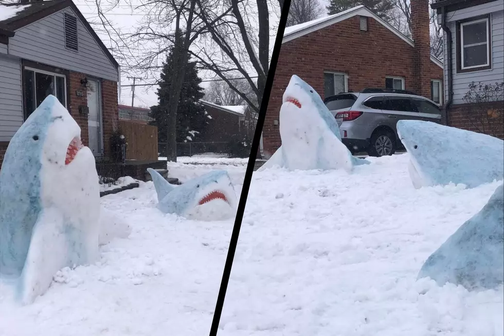 How Were These ‘Jaws’-Like Snow and Ice Sharks Not Created in New England?