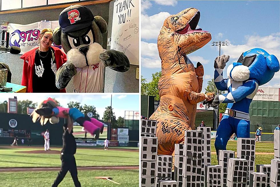 The Portland Sea Dogs Are Hiring for the Best Job Ever