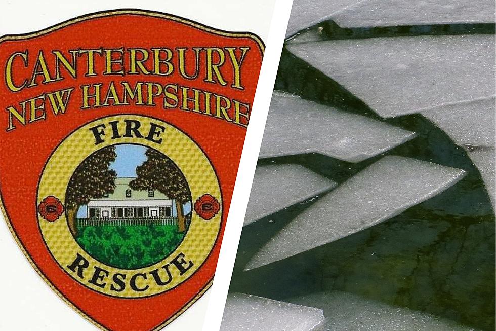 This New Hampshire Fire Department Saved a Dog&#8217;s Life After It Fell Through the Ice