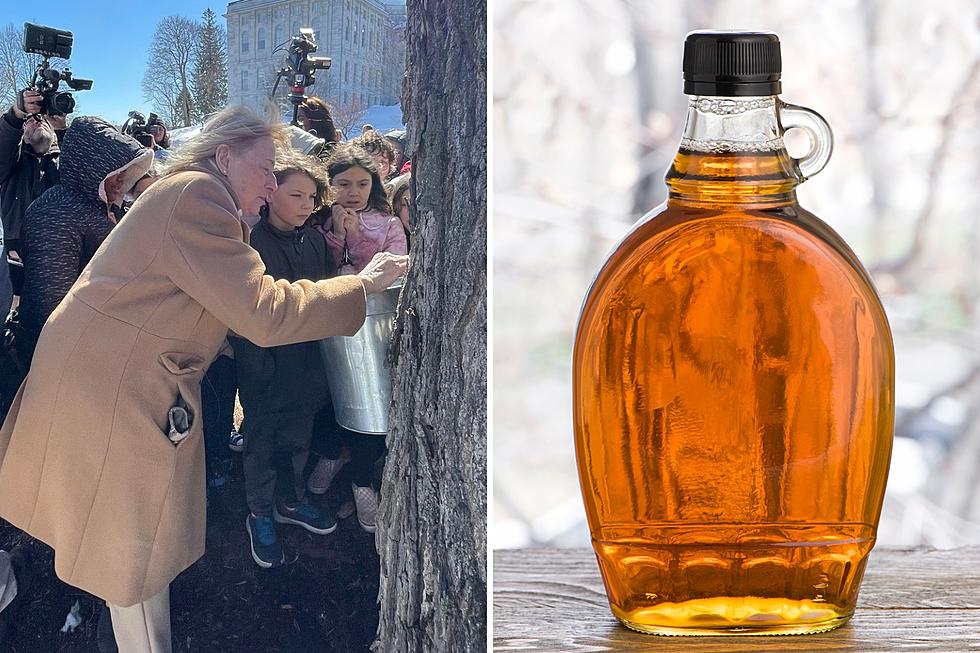 Visit These 90+ Farms, Sugarhouses This Maine Maple Sunday Weekend 2023