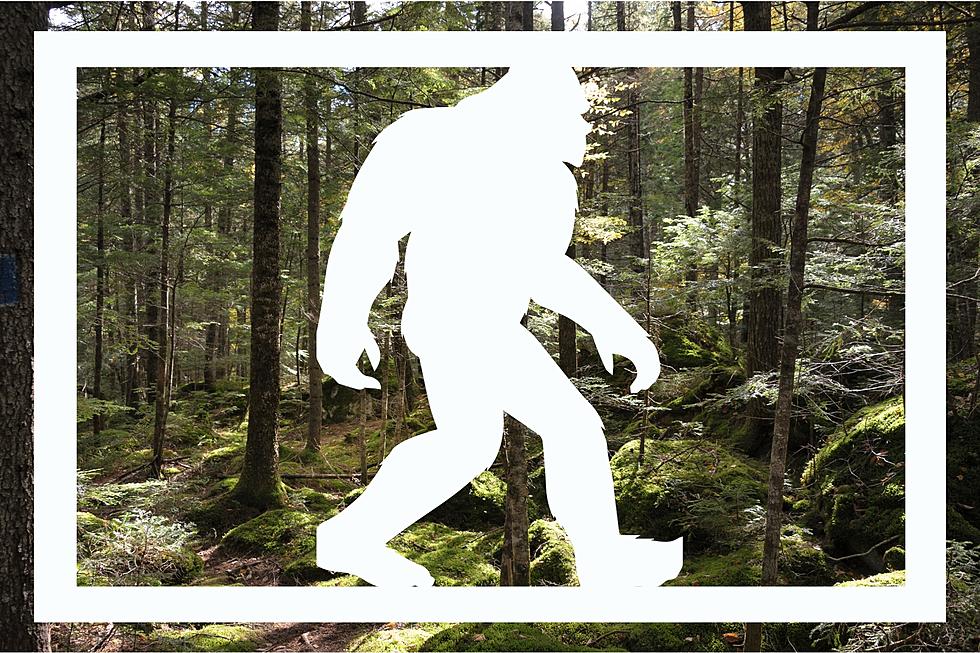 Real Deal or Totally Fake? Photo Allegedly Shows Bigfoot in Maine