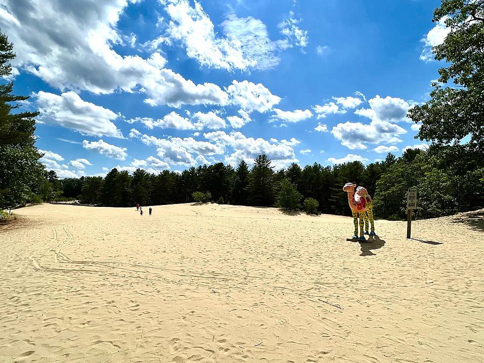 Desert of Maine in Freeport Has Totally Bonkers New Attraction