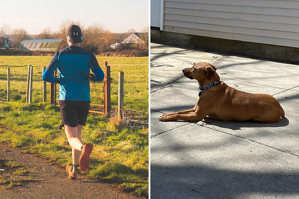 To the Total Suckbag Runner in Maine Who Taunted My Dog