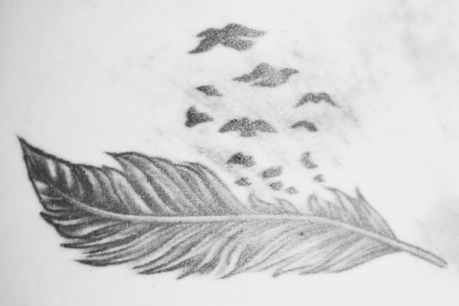 Aggregate 64+ ryan bingham feather tattoo - in.cdgdbentre
