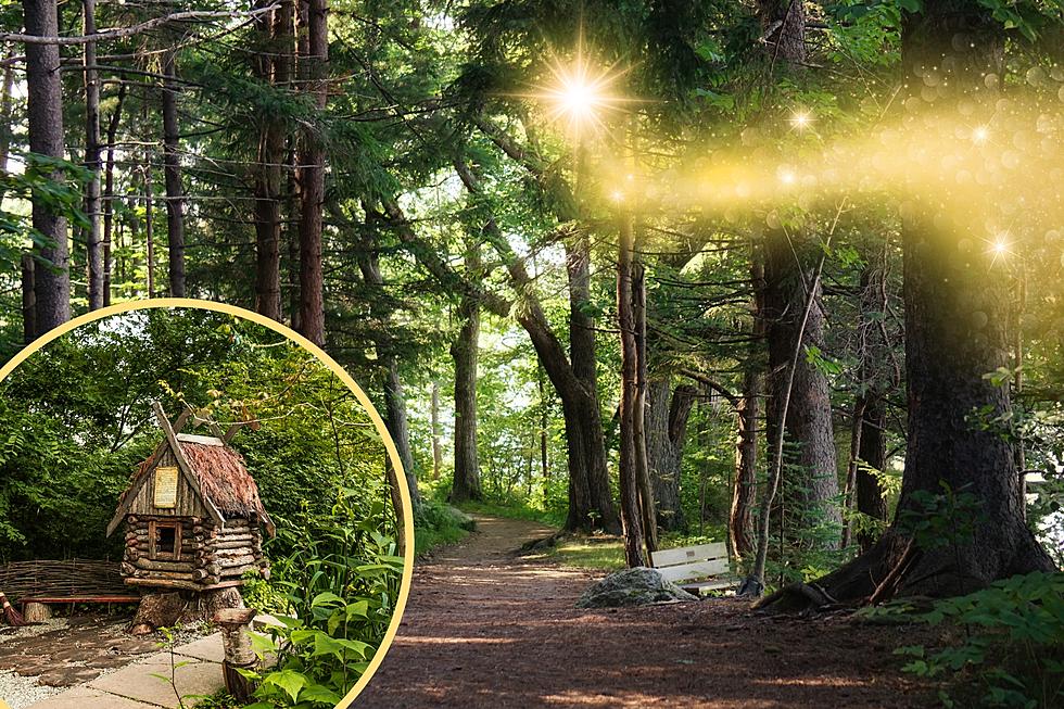 Visit and Build Fairy Homes on This Magical Maine Island