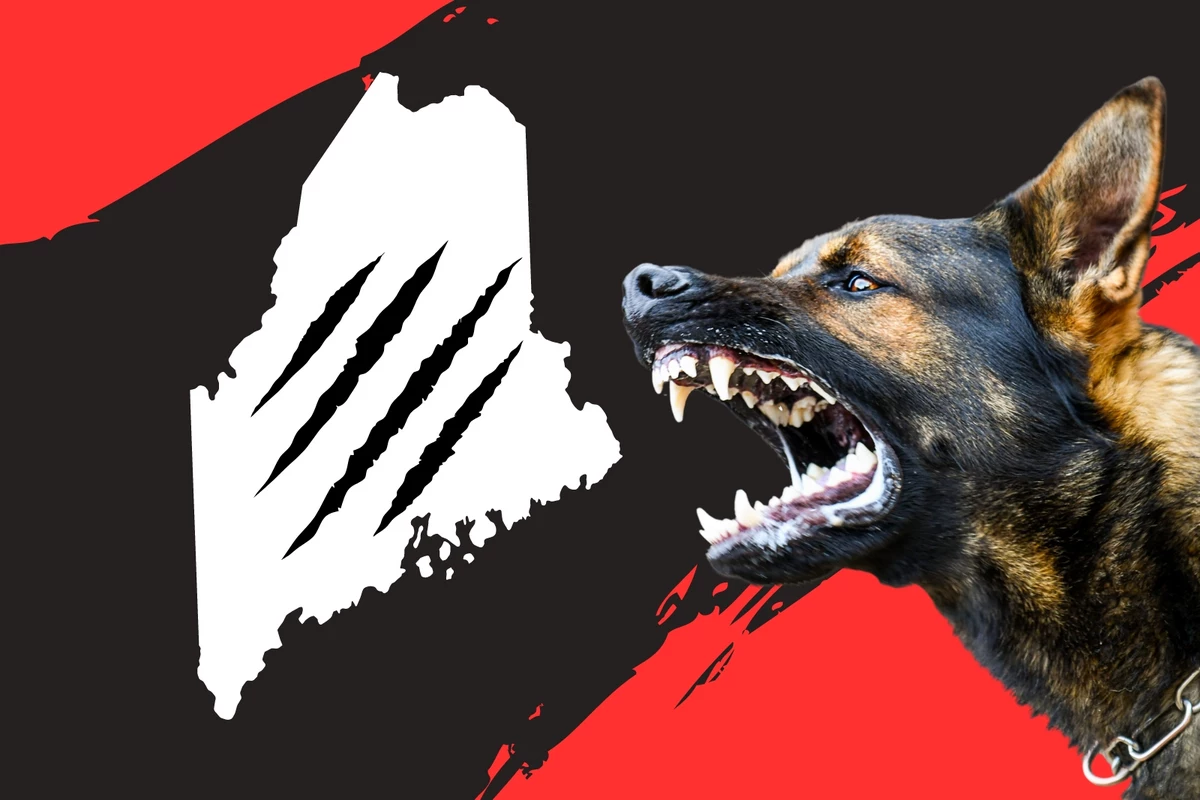 4 Most Dangerous Animals in the World Are in New Hampshire, Maine