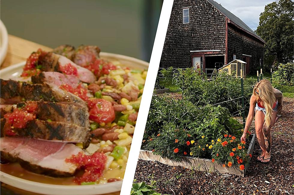 New Maine Dining Experience: Farm Fresh, Restaurant Chic, and Beer Garden Vibes All in One