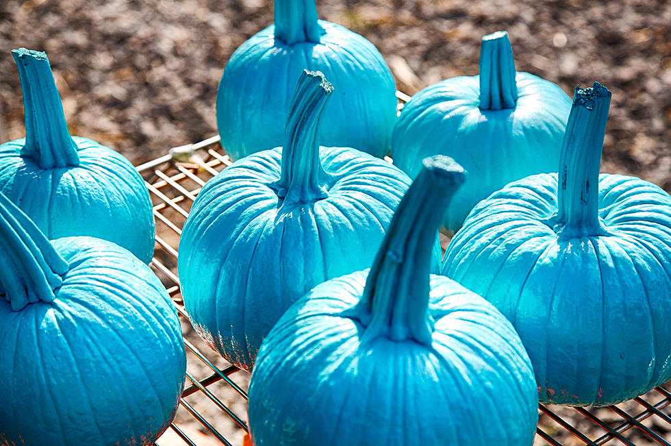 What&#8217;s With Blue Pumpkins on Halloween in Maine? Here&#8217;s What It Means