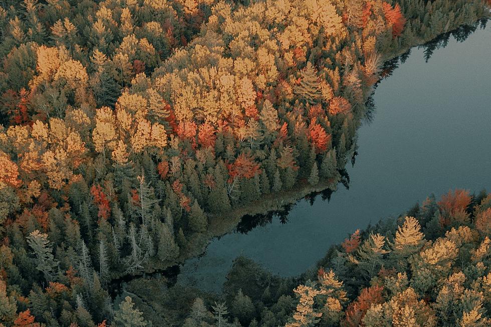Has the Insanely Wet Summer Ruined Maine&#8217;s Upcoming Fall Foliage Season?