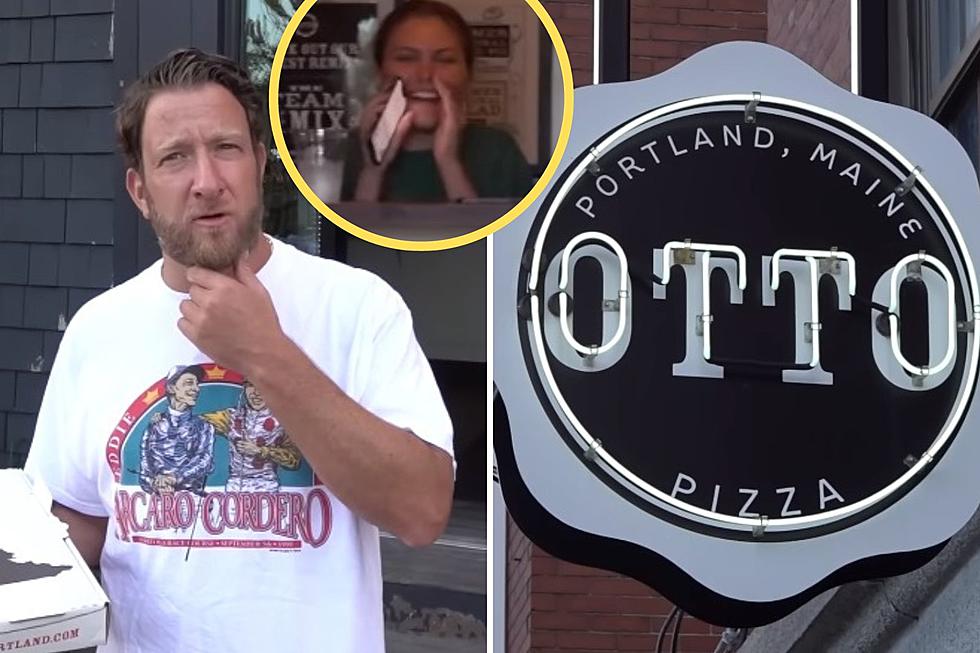 Is Maine Overreacting to the OTTO Portland Pizza Review Video?