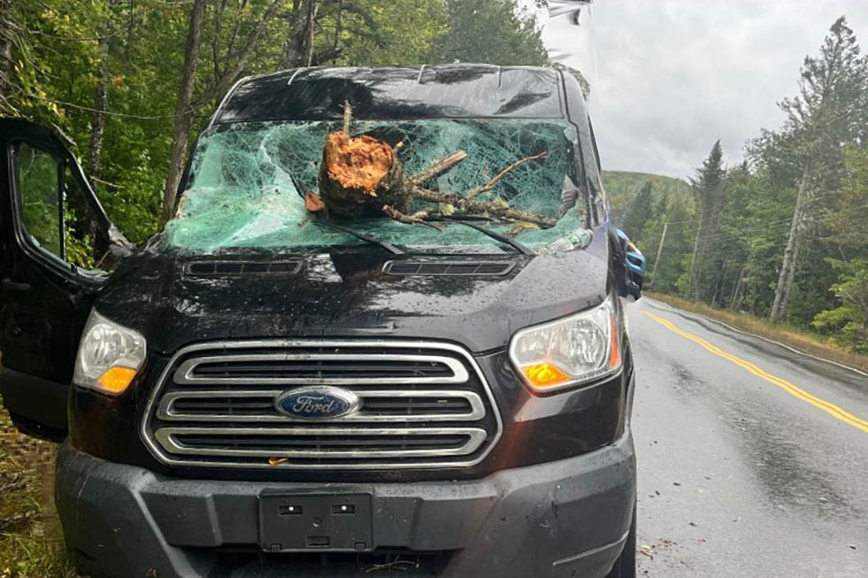 Close Call on Maine Road During the Storm as a Tree Goes Through a Windshield