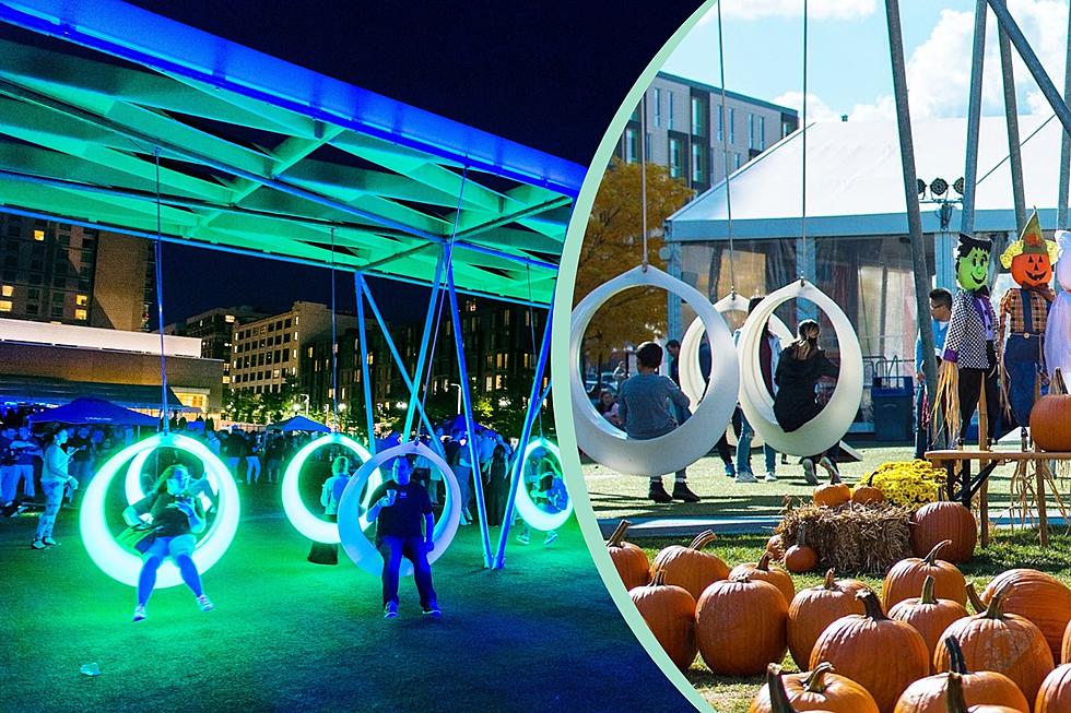 Pumpkin Palooza Coming to This Adult New England Playground With Light-Up Swings