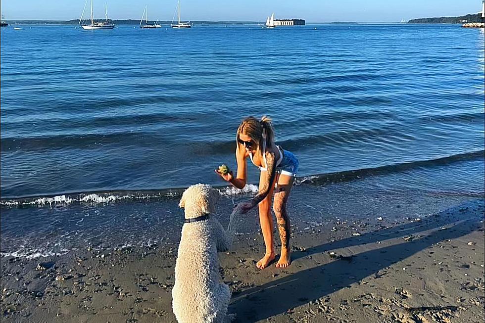 Maine Beach Drama: Open Letter to the Woman Who Met My Off-Leash Dog