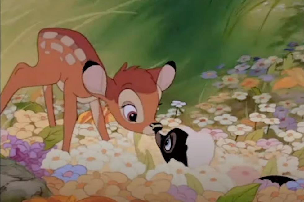 Did You Know the Disney Movie &#8216;Bambi&#8217; Was Inspired by Maine?