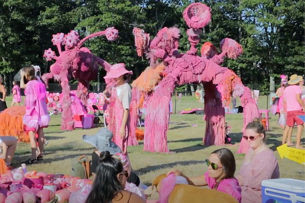 I Didn&#8217;t Believe These Massive Underwater Creatures Were Real When I Went Past Them in Portland, Maine