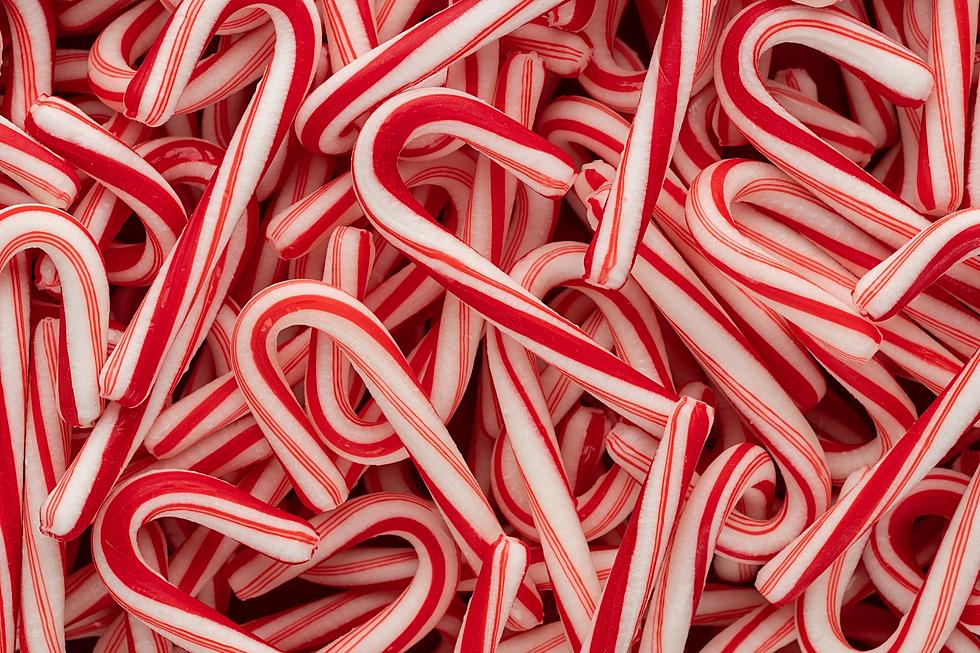 The Flavors That Would Come in a Maine Specialty Candy Cane Pack