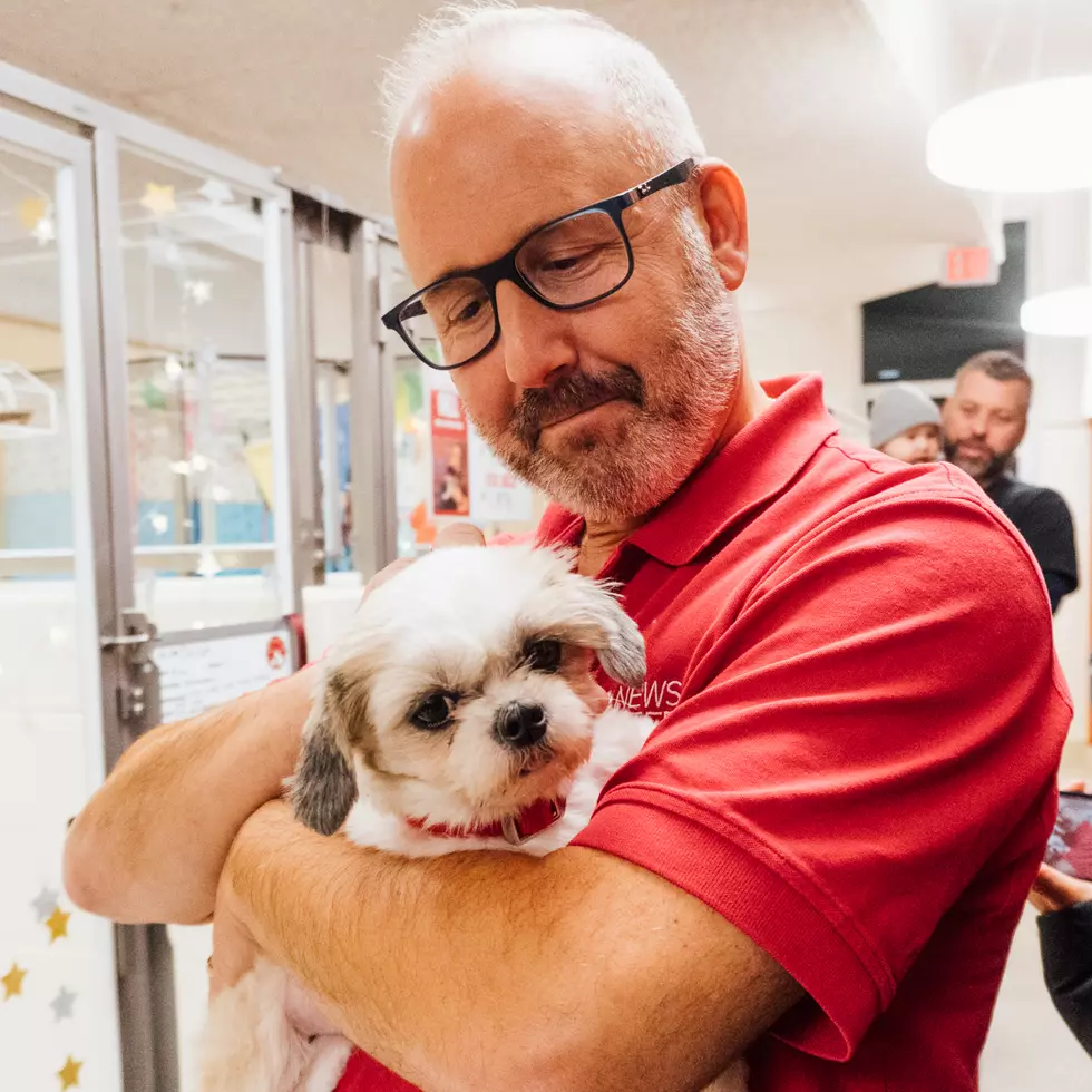 Animal Refuge League of Greater