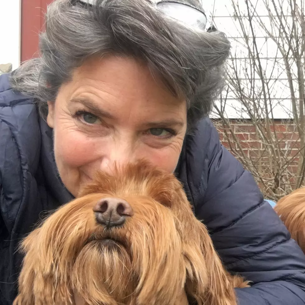 Animal Refuge League of Greater