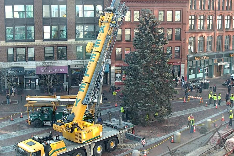 Watch: Christmas Tree Put Up in Portland, Maine