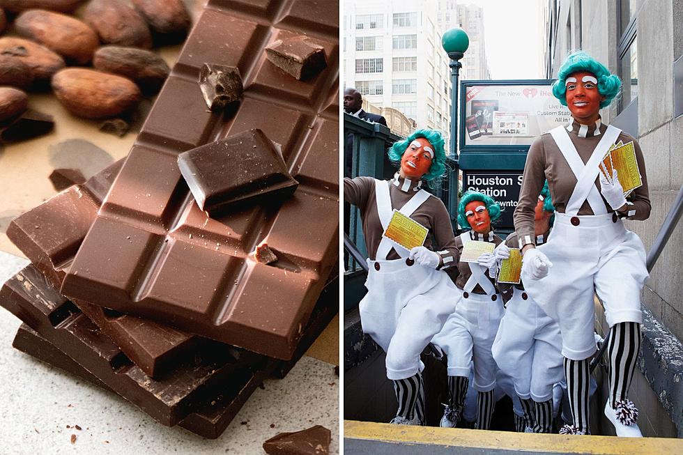 Massachusetts Chocolate Expo is This Weekend With Special Guests