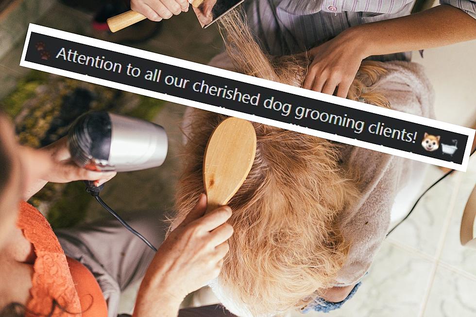 Beloved Maine Pet Grooming Business Announces Official Closing
