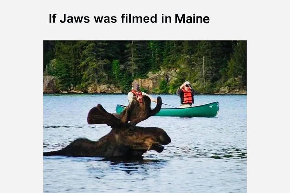 10 Memes About Maine That Are Totally on Point