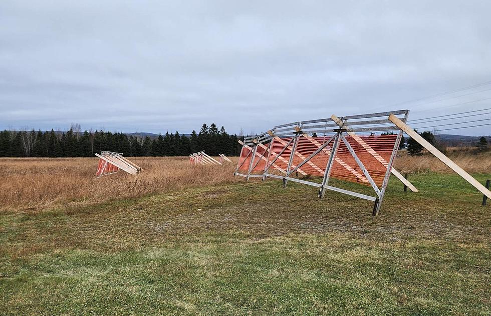 What Are These Orange Fence-Like Things in Northern Maine?
