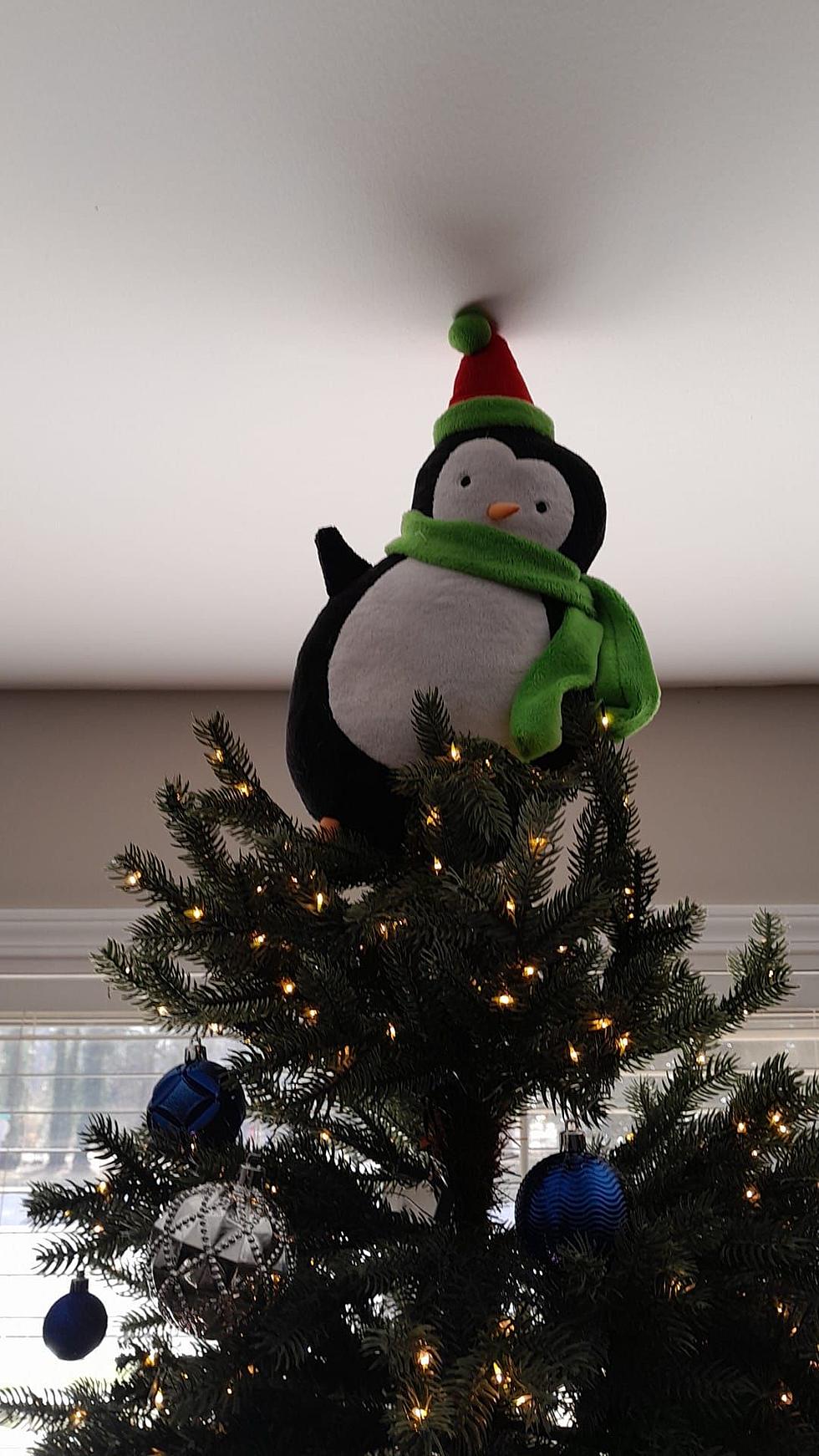 25 Unique Things Mainers Put on Top of Their Christmas Trees