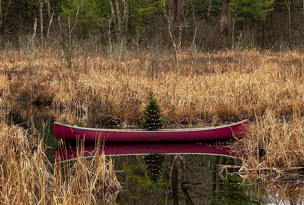 Where in Massachusetts is This Perfect Christmas Picture?